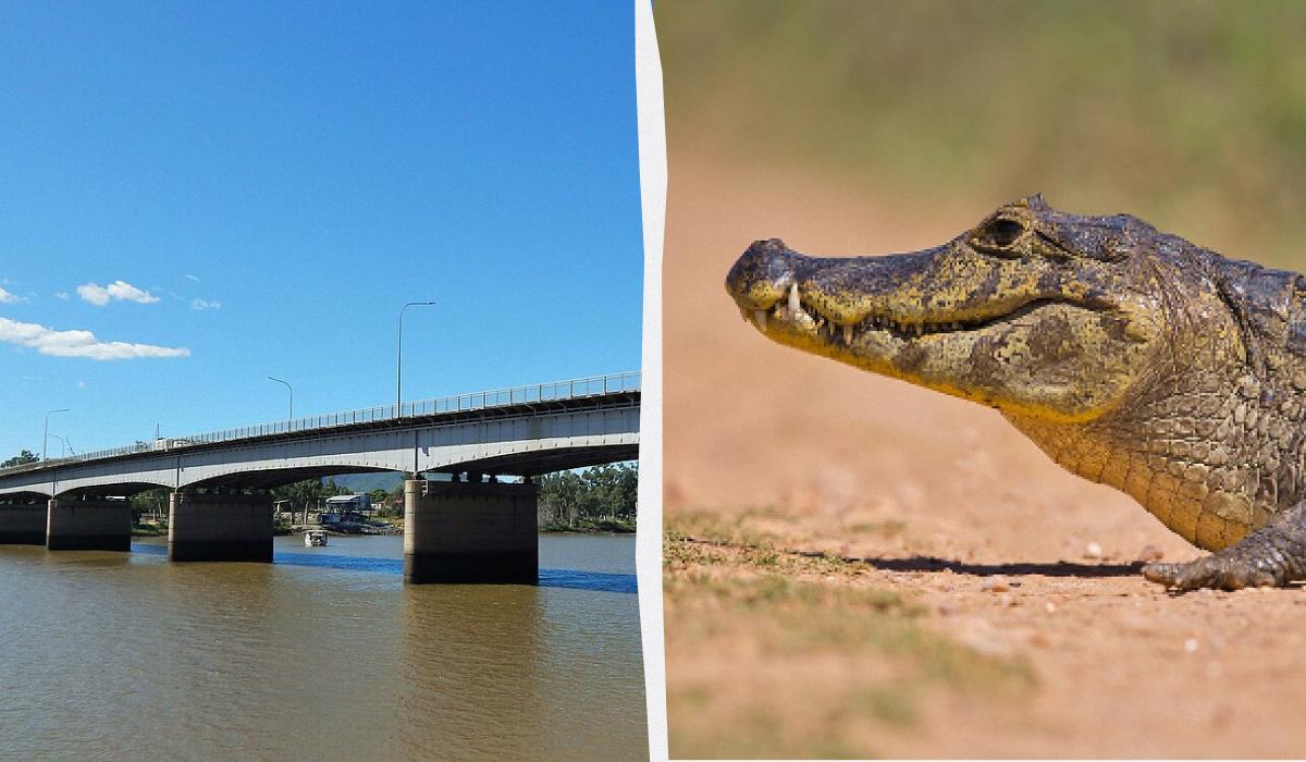 В Австралії річку з крокодилами схвалили для олімпійських змагань 1 Річка Фіцрой є однією з найбільших в Австралії / колаж D.UA, фото pixabay, Вікіпедія